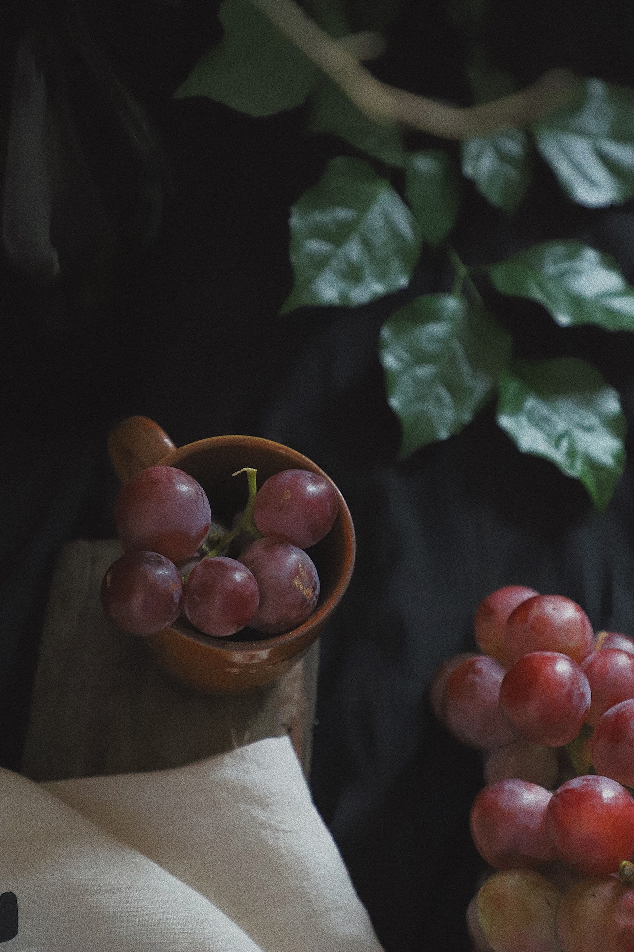 用脚踏过的日子