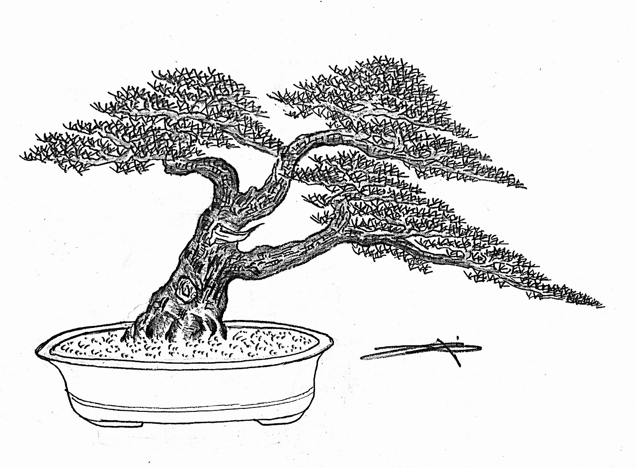 吕绍武手绘盆景设计效果图（图ZMTY4MDkwNjQ4） - 绘画 - 站酷设计师慧武原创素材 - 站酷ZCOOL