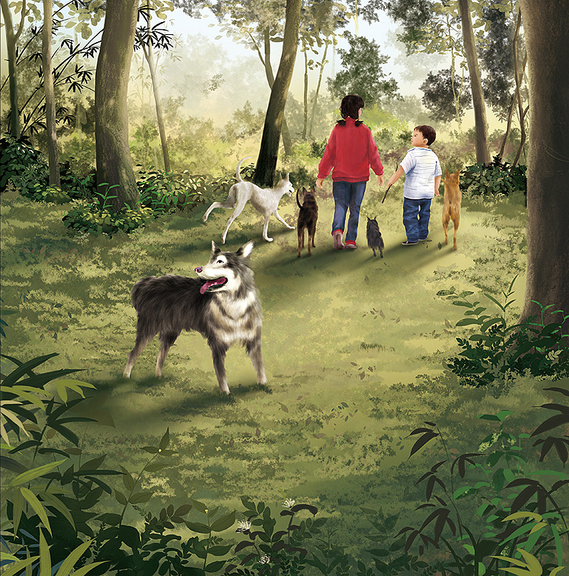 森林里的一天(已出版)