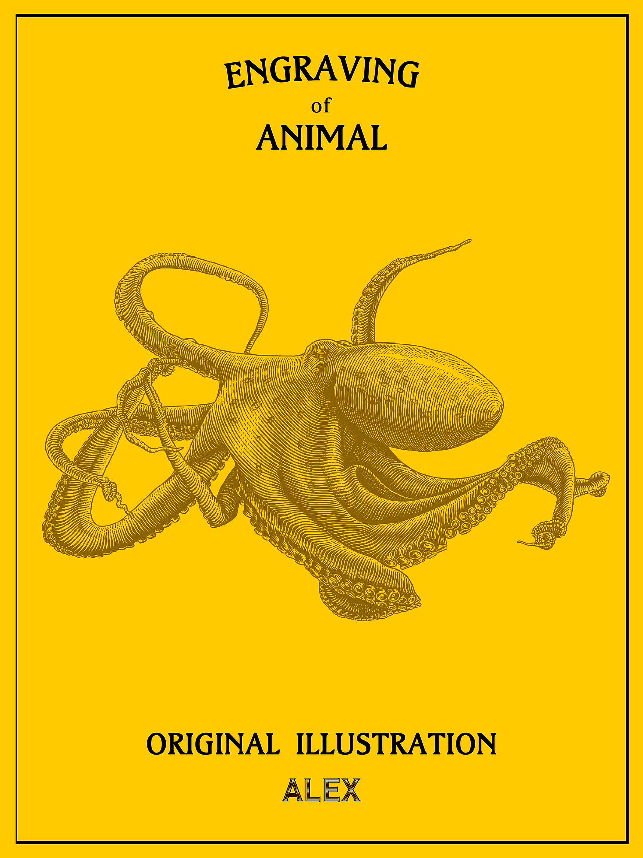 铜版画风格插画习作|动物系列