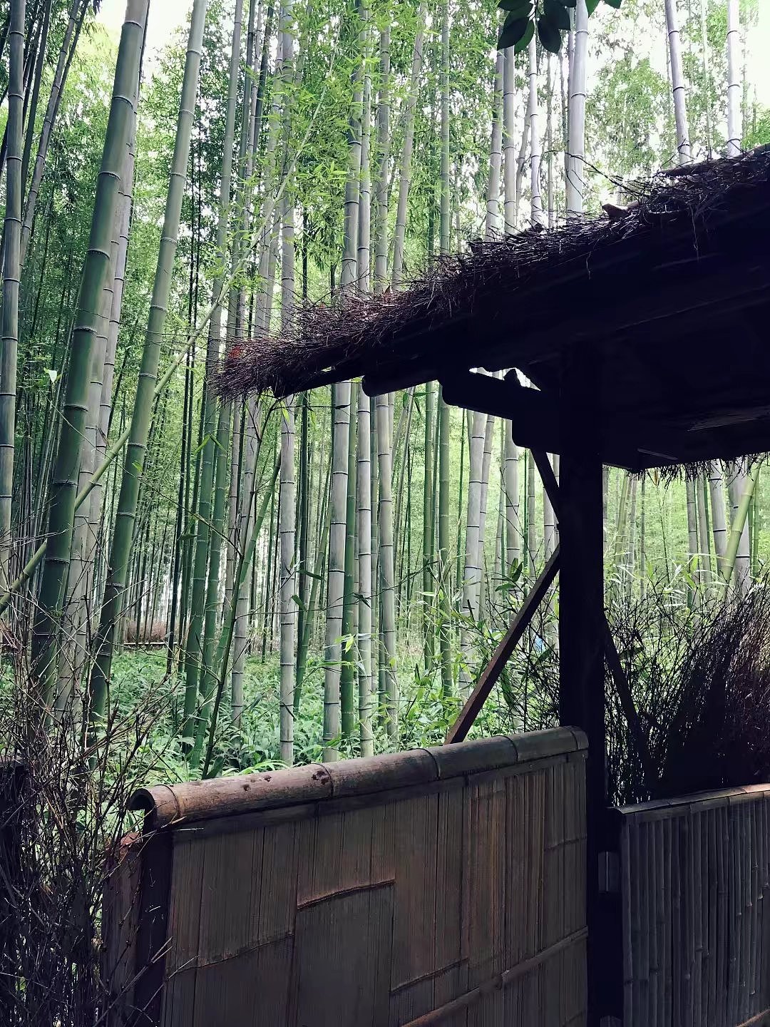 日本京都一周游