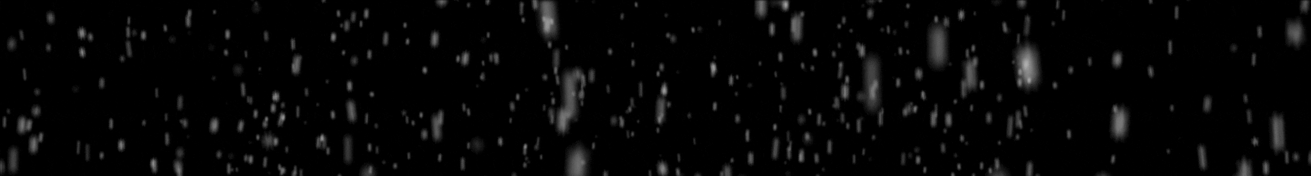 WGX_beginner的个人主页（封面预览） - 主页封面设置 - 站酷设计师WGX_beginner原创素材 - 站酷ZCOOL