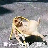 不知道就瞎叫吧的头像