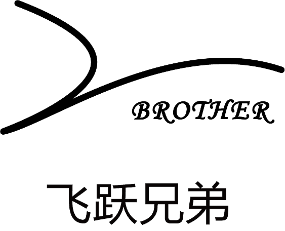 飞跃兄弟logo