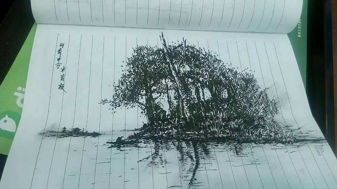 杨小龙签字笔画作