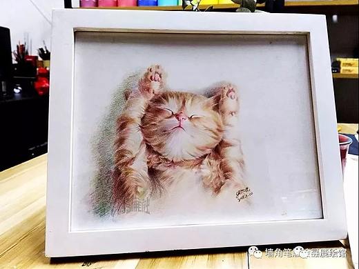 【彩铅教程】吃饱就睡的小萌猫，好想撸 