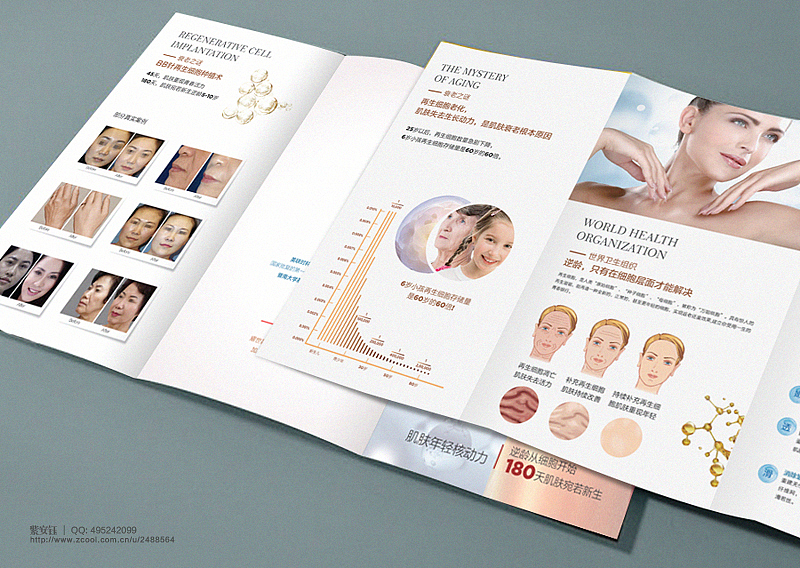 医美折页 皮肤美容折页 4款项目折页设计 整形美容折页 美容折页 整形折页 美容3折页 折页 紫安钰
