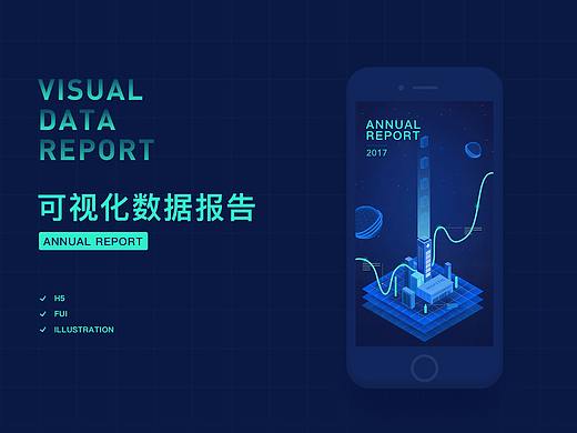 可视化数据报告