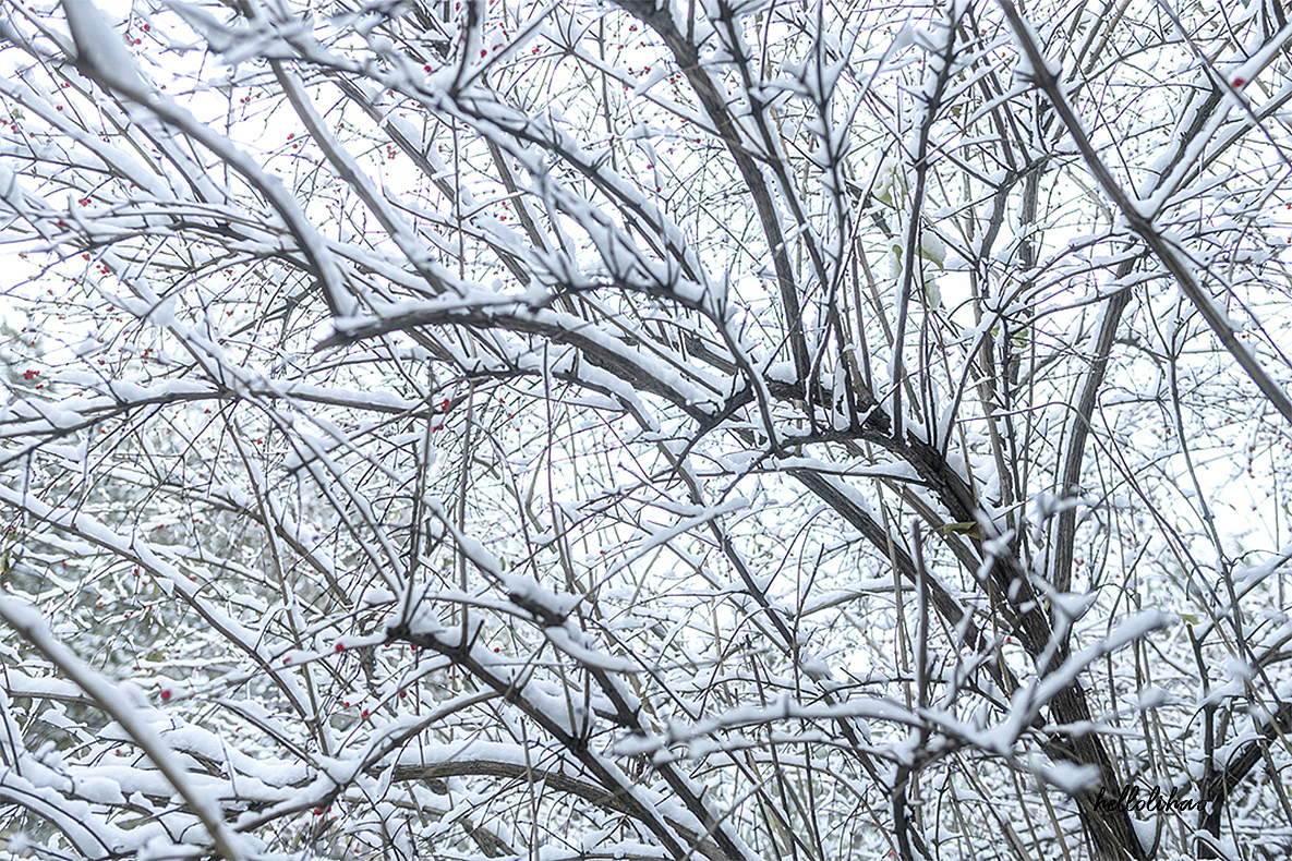 2019·初雪