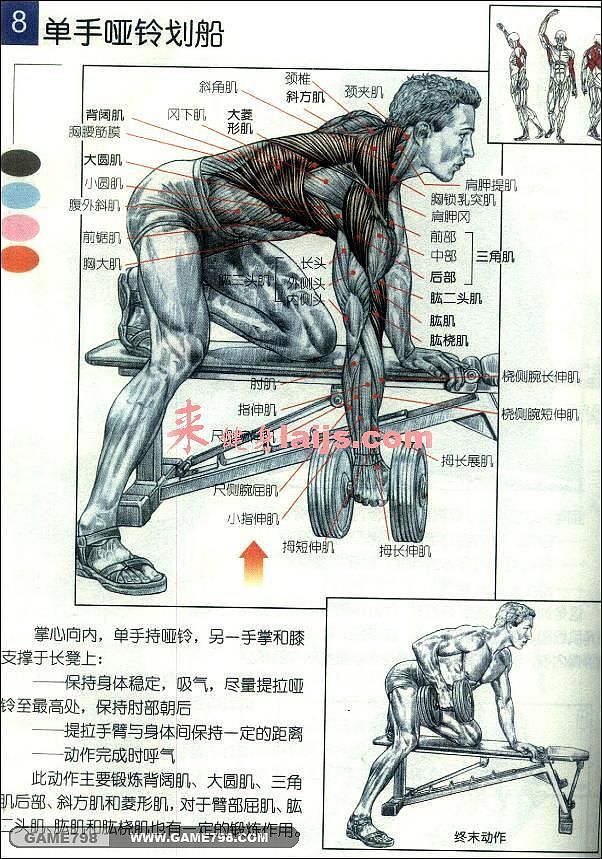 人体骨骼肌肉分布手绘稿