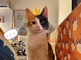 一家人就是要整整齊齊的～