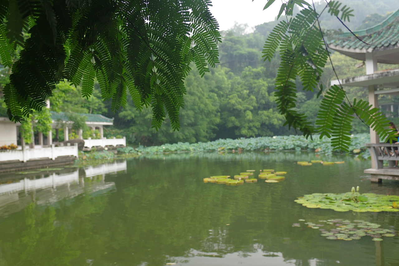 户外摄影--厦门摄影（鼓浪屿、植物园）（图ZNTc4Mzc2ODQ=） - 环境/建筑摄影 - 站酷设计师今天能喝咖啡了吗原创素材 - 站酷ZCOOL
