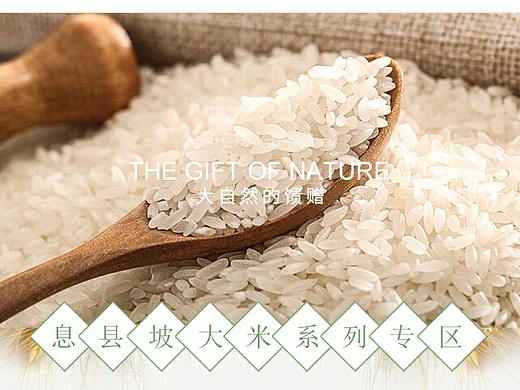 店铺装修-大米首页设计