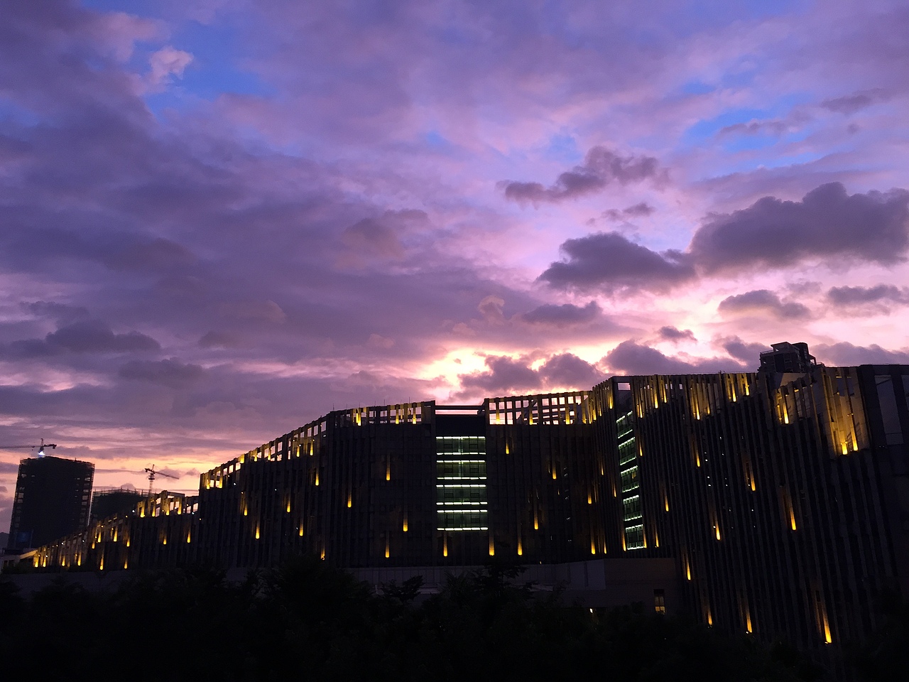 镜头下的微厦门