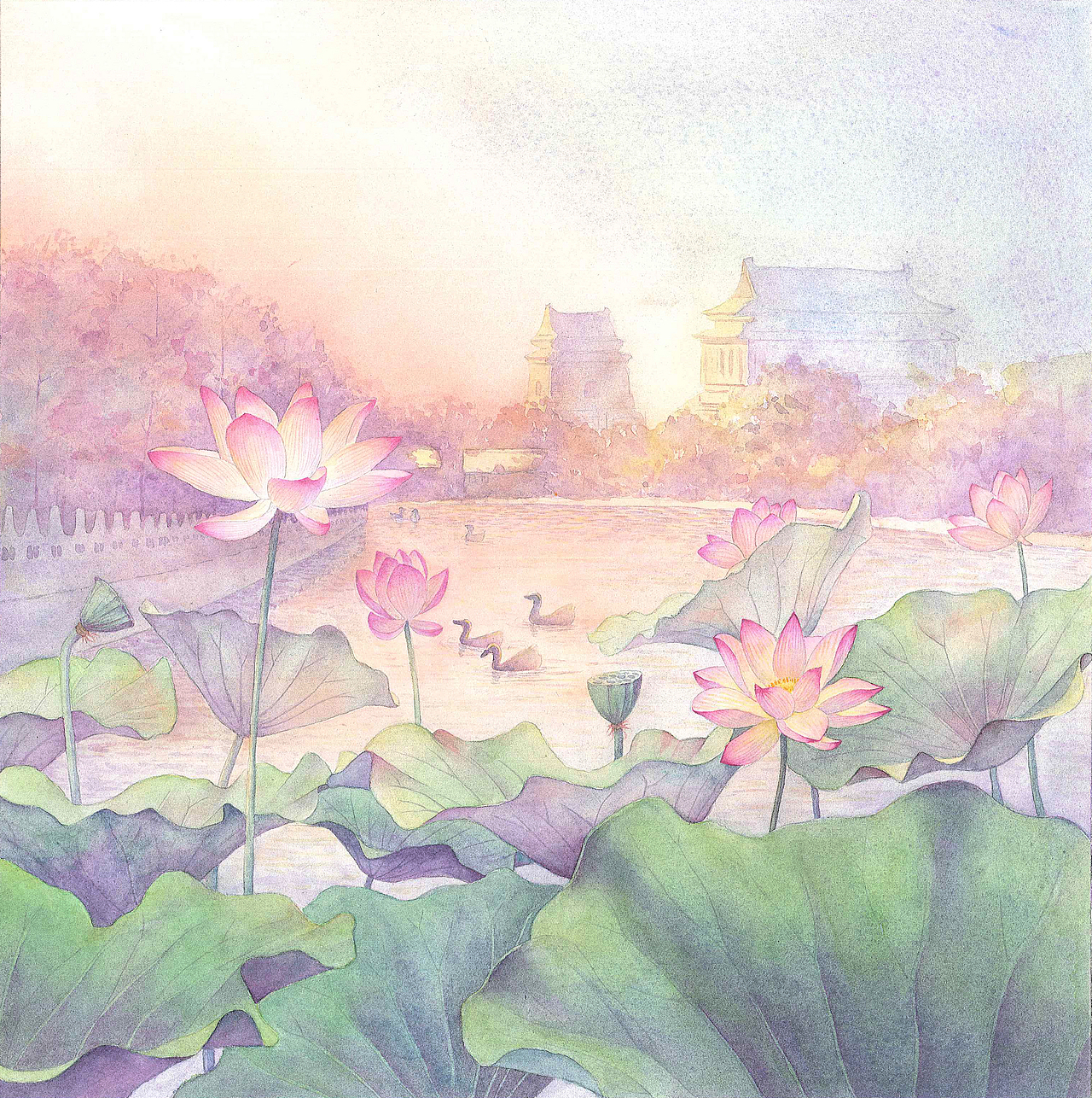 水彩文学插图莲子