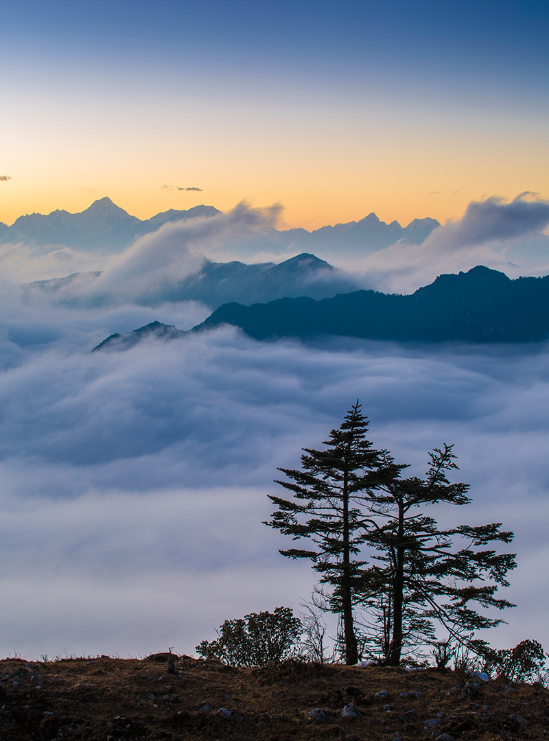 高山上的云海日落