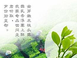 萬里飄香茶葉