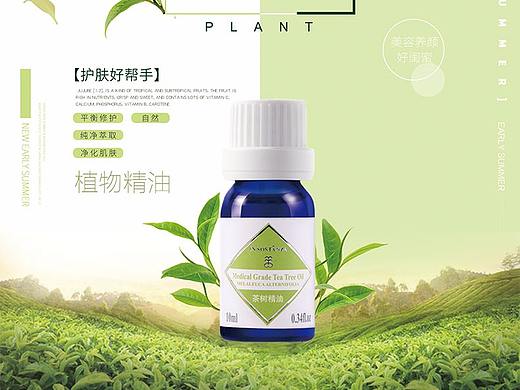 茶树精油详情