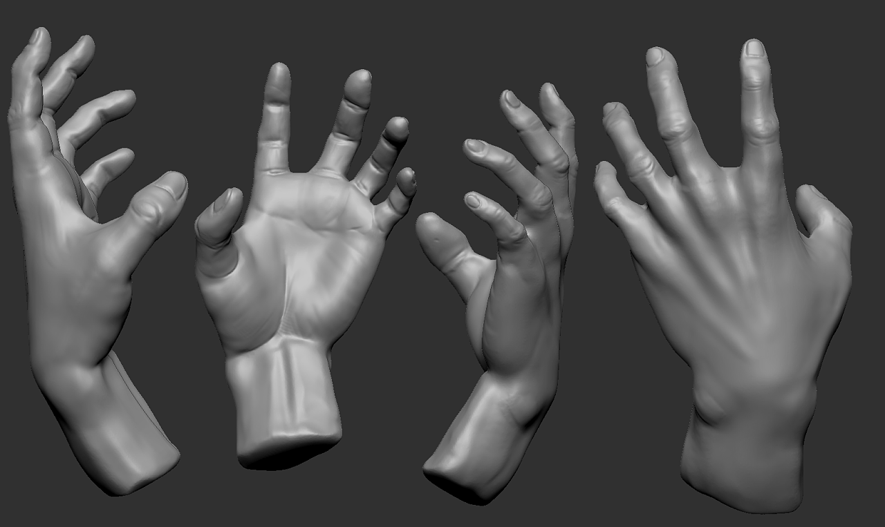 zb前期学习雕刻练习|三维|动画/影视|lrlpalmcivet - 原创作品 - 站酷