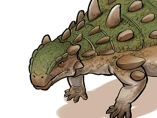 Ankylosaurus