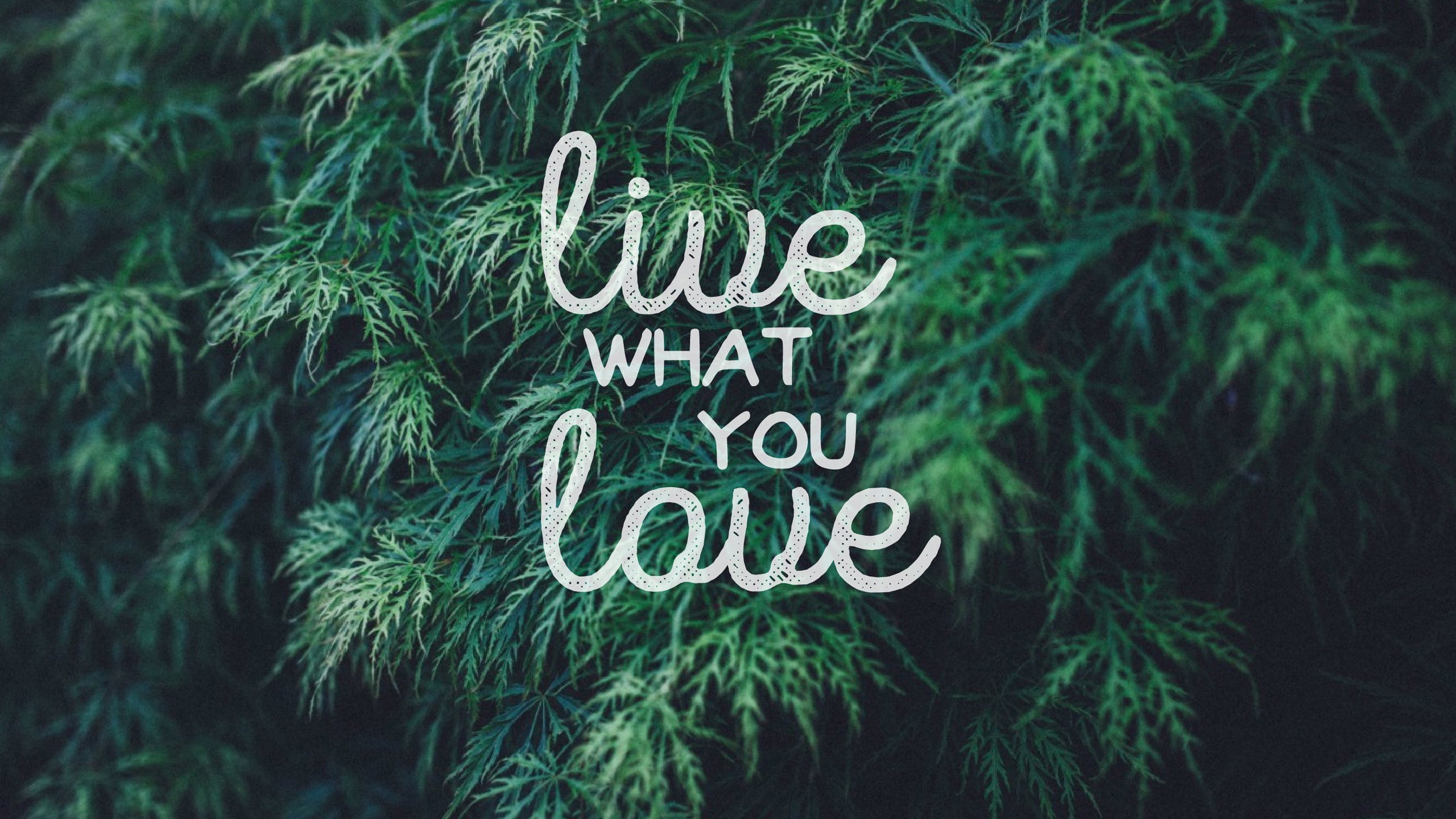 彼岸發的个人主页（封面预览） - 主页封面设置 - 站酷设计师彼岸發原创素材 - 站酷ZCOOL