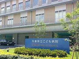 导视