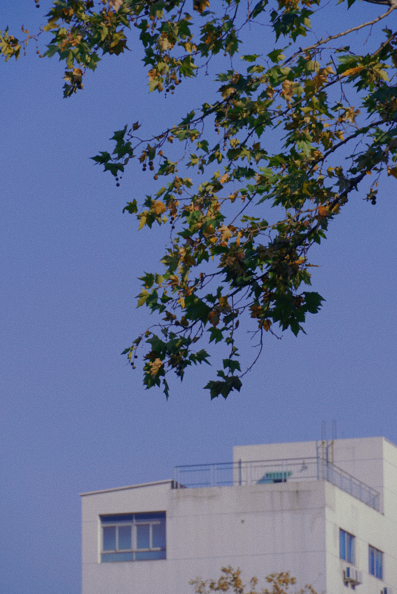 最近的杭州（图ZMzI3MjY3MDY0） - 人文/纪实摄影 - 站酷设计师小敏518原创素材 - 站酷ZCOOL