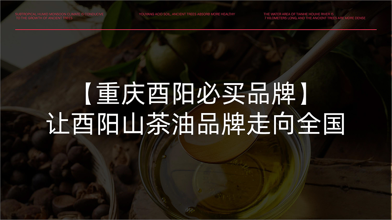 游加倍（中国）古树山茶油品牌全案策划设计