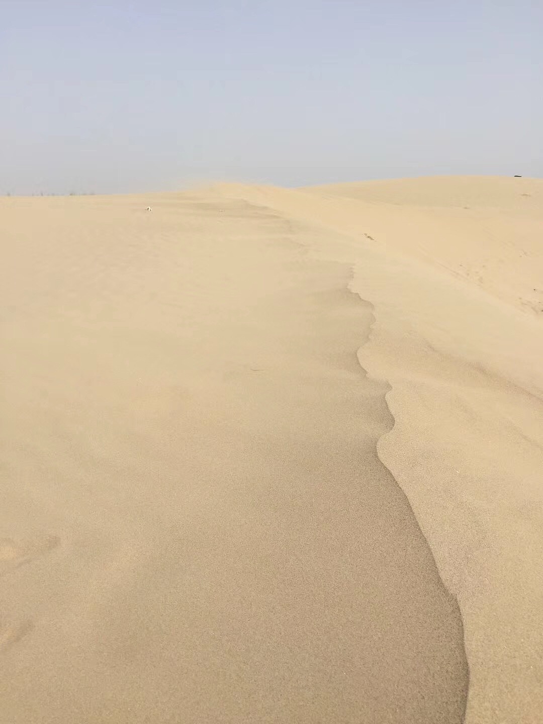 这里是新疆(手机摄影)