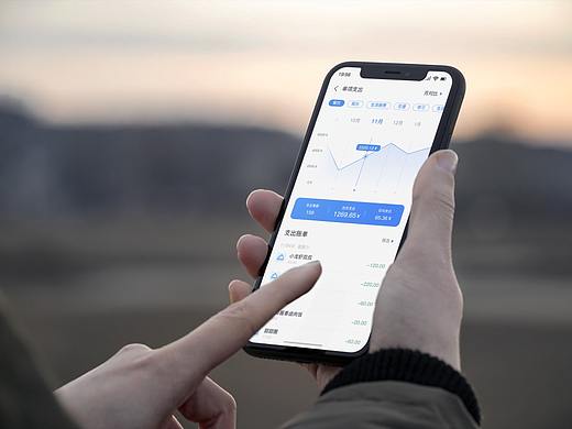概念型APP——“有钱花”【帮助你合理分配资金】