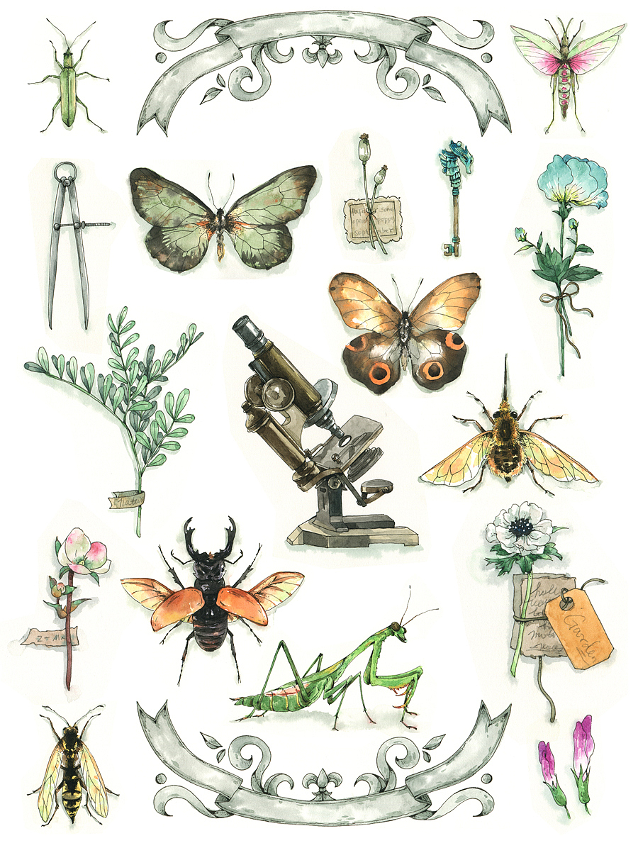 自然之王（图ZMTM3Mjg2ODc2） - 商业插画 - 站酷设计师蓝象太太原创素材 - 站酷ZCOOL