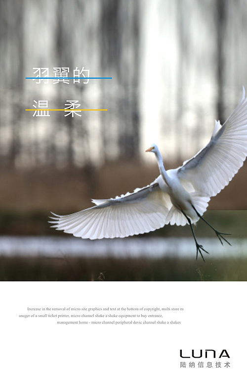 TSG 盛世同谋作品-陆纳信息科技视觉创作及推导