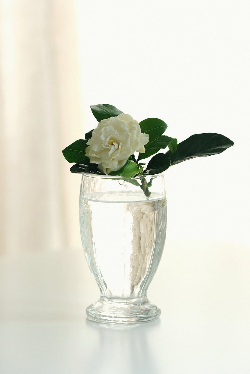 玻璃杯产品拍摄|自然光静物