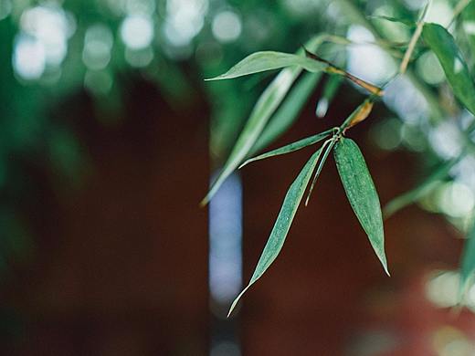 《千年古刹 — 云居寺》P2.竖图