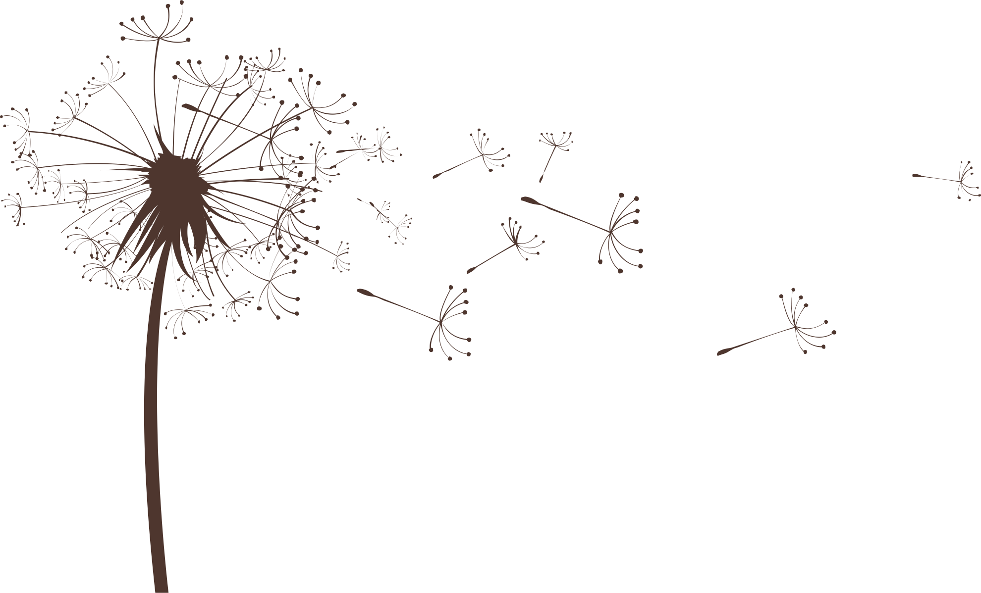 小杨难过的个人主页（背景预览） - 主页背景设置 - 站酷设计师小杨难过原创素材 - 站酷ZCOOL
