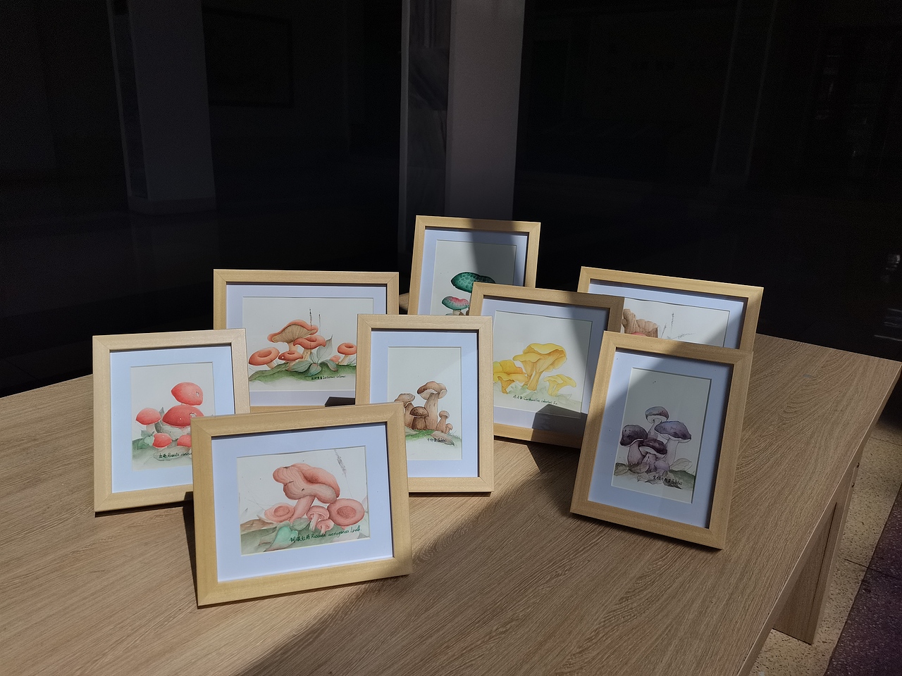 野生菌水彩绘画