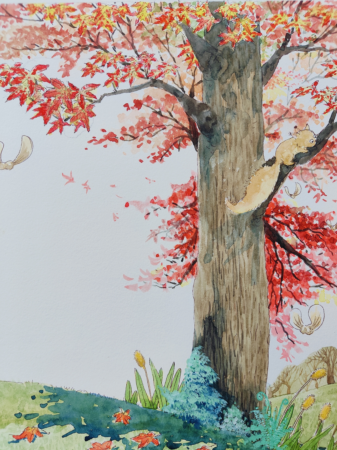 趣味科普插画小合集（图ZMzc2Mzc2NjAw） - 绘本 - 站酷设计师大吉2019原创素材 - 站酷ZCOOL
