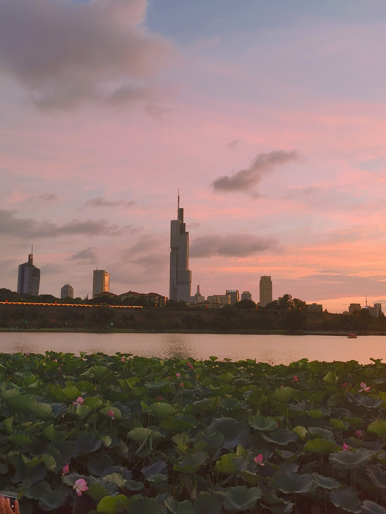 手机摄影_玄武湖黄昏
