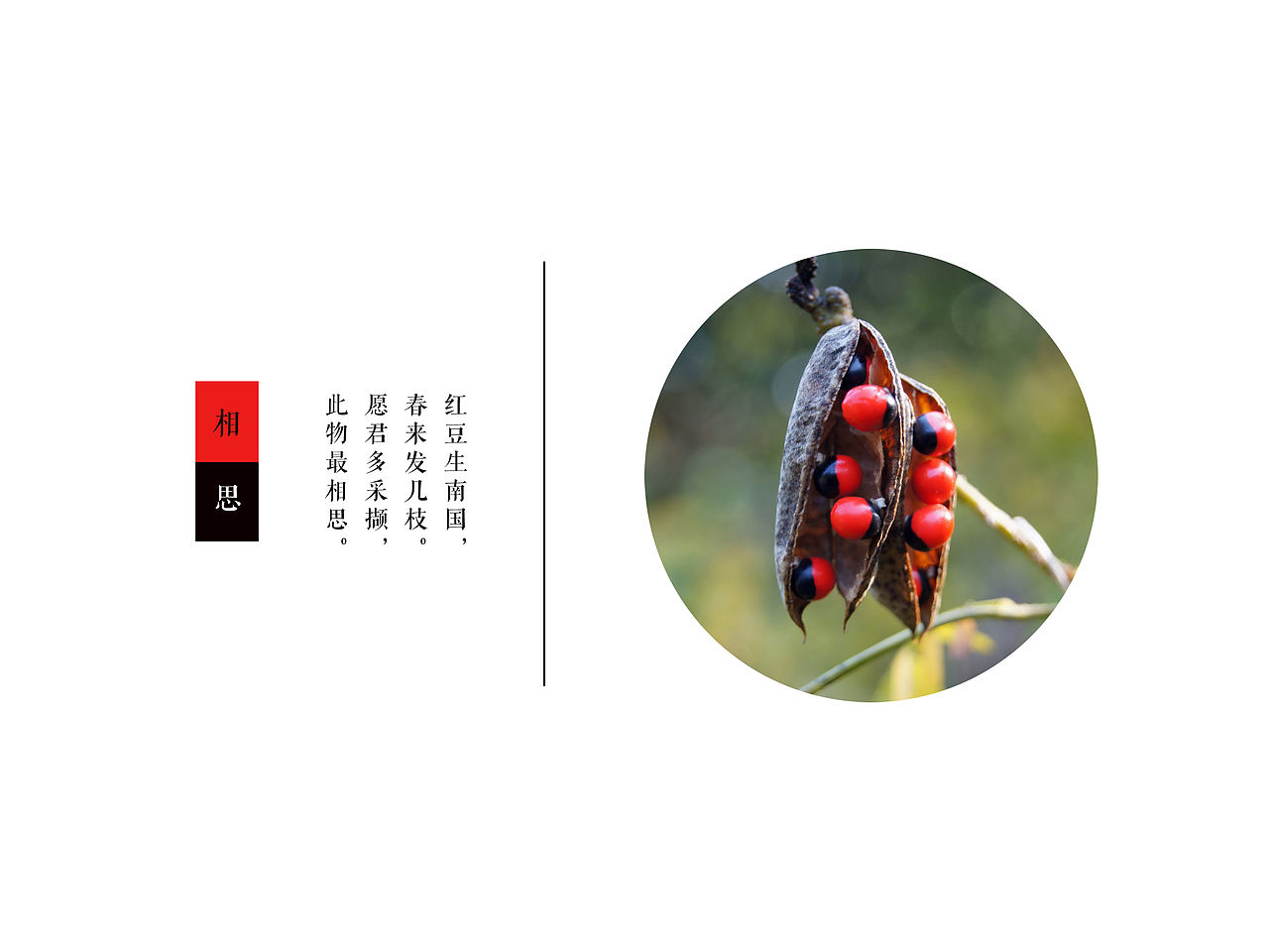 情缘三首 《相思 契爱 鸳鸯》（图ZNTU2MzY2MDg=） - 生活用品 - 站酷设计师sam_smith原创素材 - 站酷ZCOOL