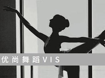 VI手册