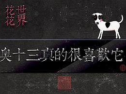 《花花世界》_20臭十三真的很喜歡它