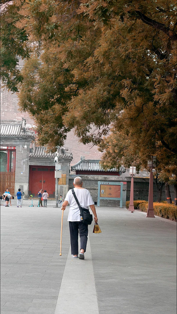 关于北京-短视频