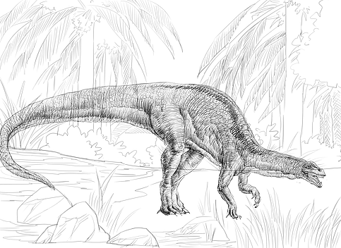 恐龙图书 第二套线稿