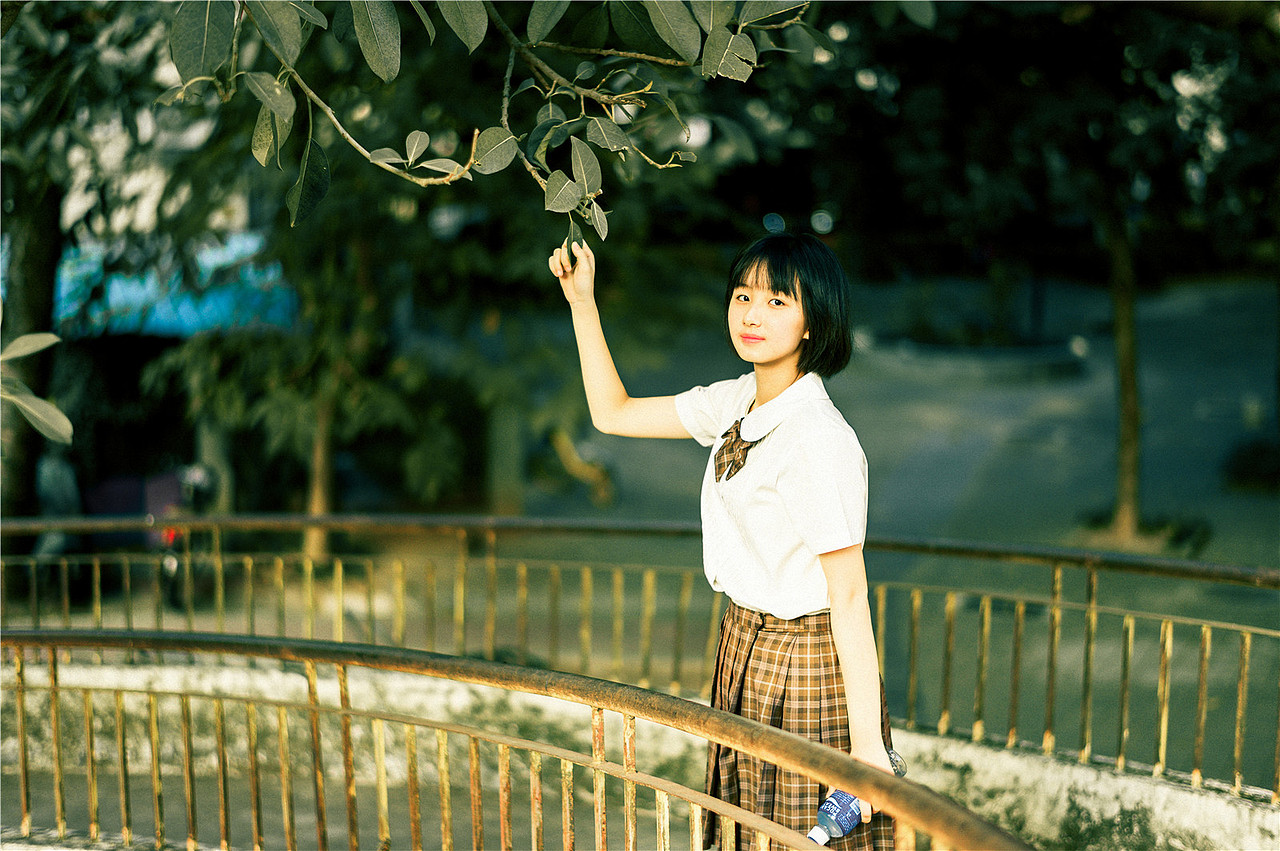 我在人间贩卖日落