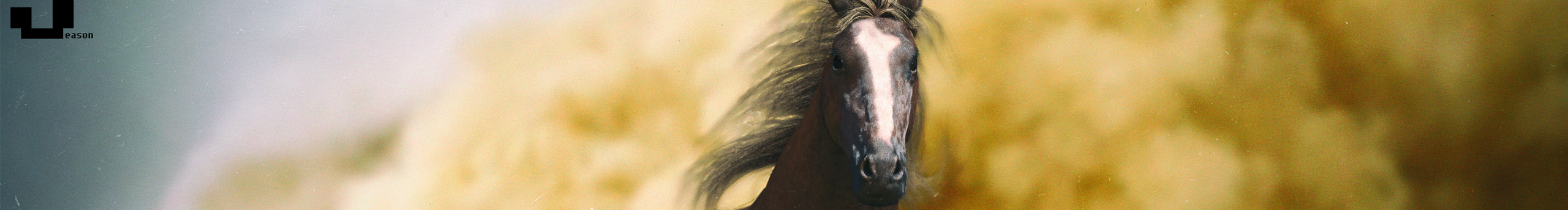 JeasonXu的个人主页（封面预览） - 主页封面设置 - 站酷设计师JeasonXu原创素材 - 站酷ZCOOL