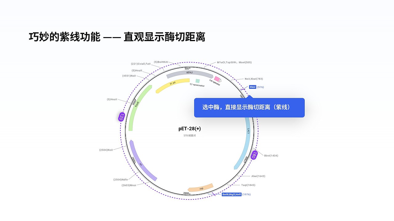 Genetrip·朱雀 | 作品展示(✅已上架)