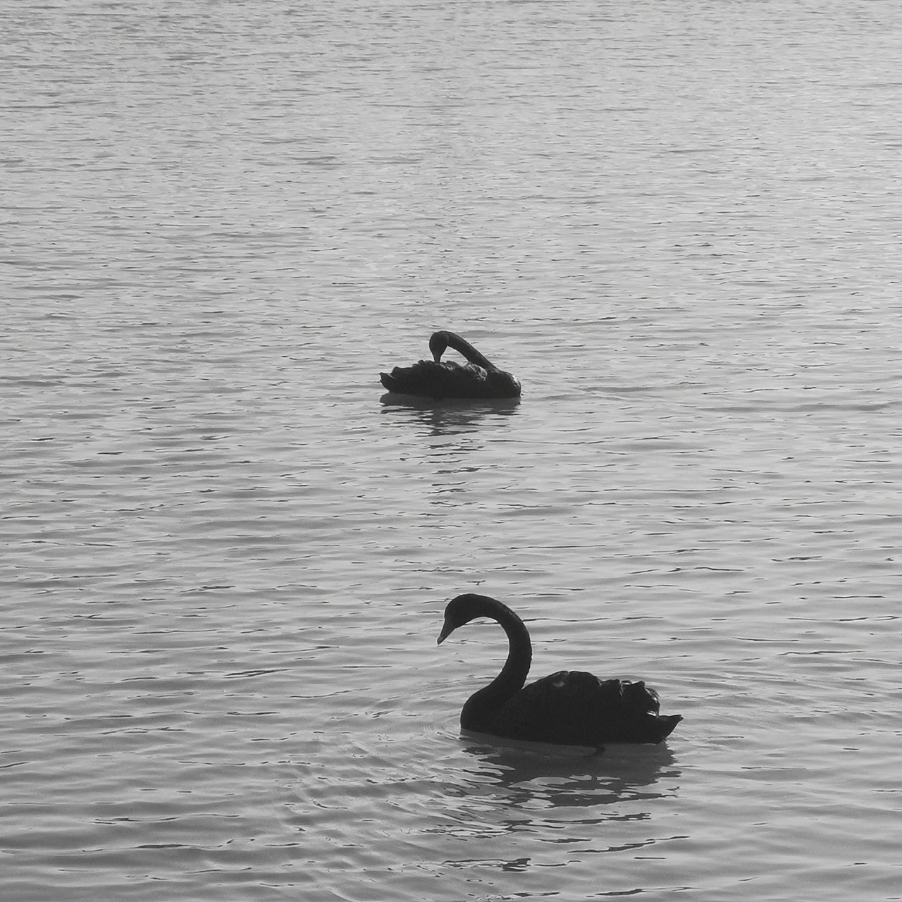 《湖美的灰色系》-摄影