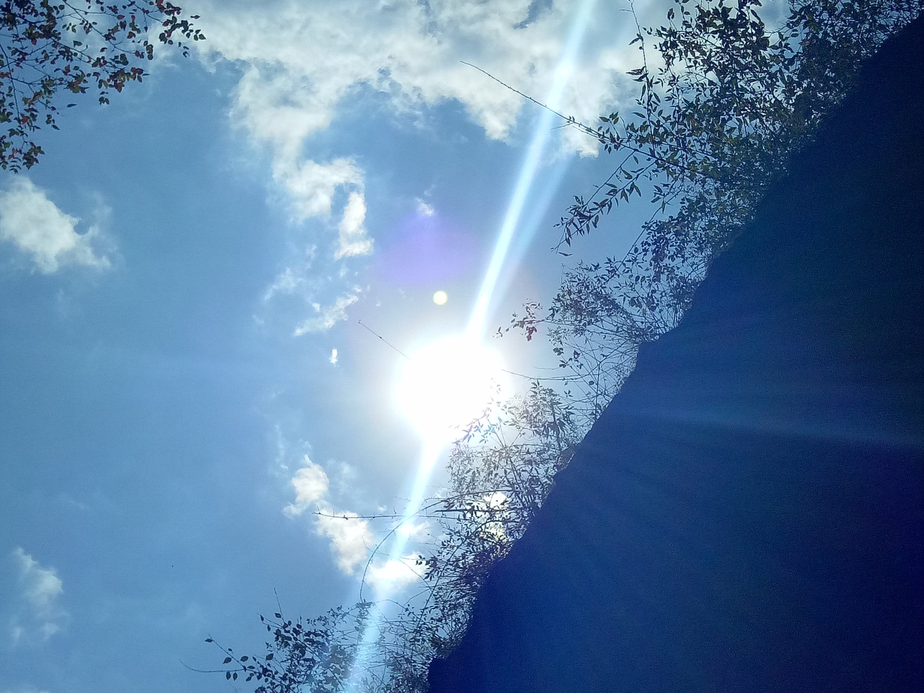 春日_原原原原原儿站酷ZCOOL