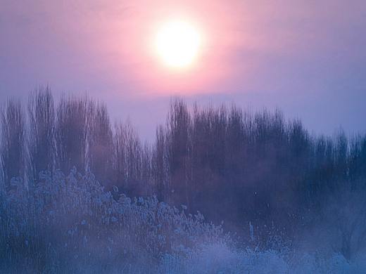天鹅与野鸭子（个人主页-ZMjY0MTg2MTY=） - 风光摄影 - 站酷设计师蓝色韵律原创素材 - 站酷ZCOOL