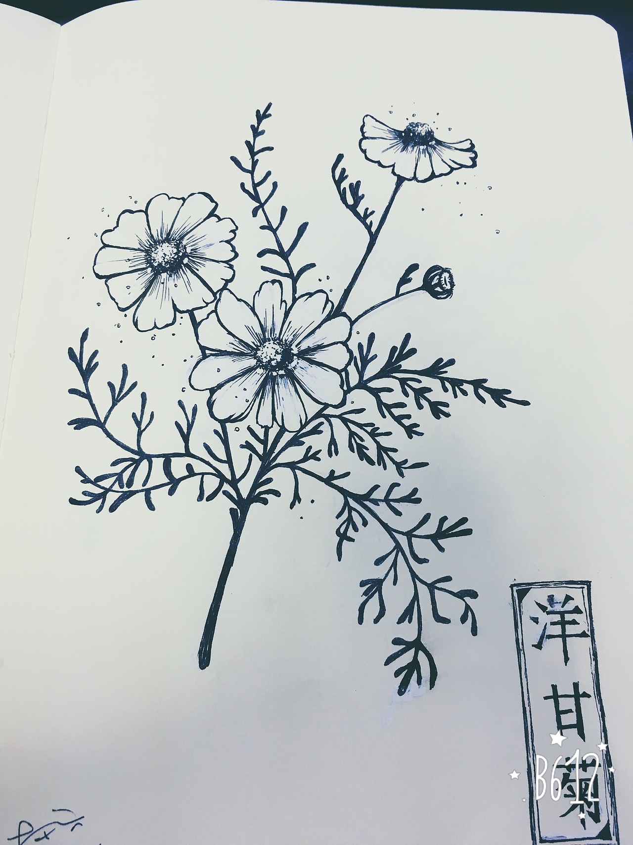 原创临摹都有，乱涂乱画练习中